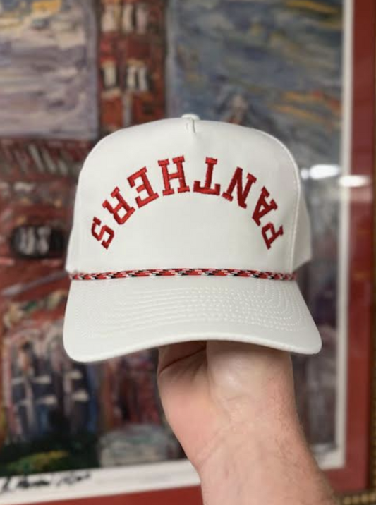 Panthers Hat